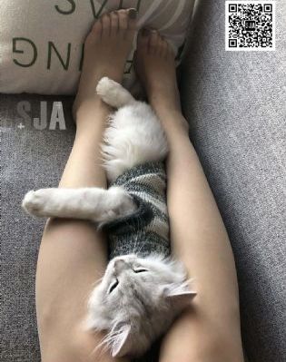 HD最新电影在线观看_DVD在线观看高清